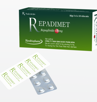 REPADIMET