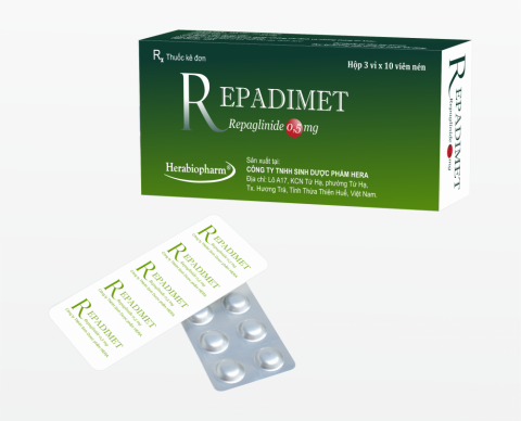 REPADIMET
