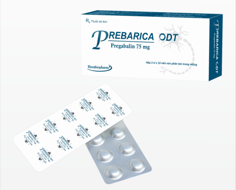 PREBARICA ODT
